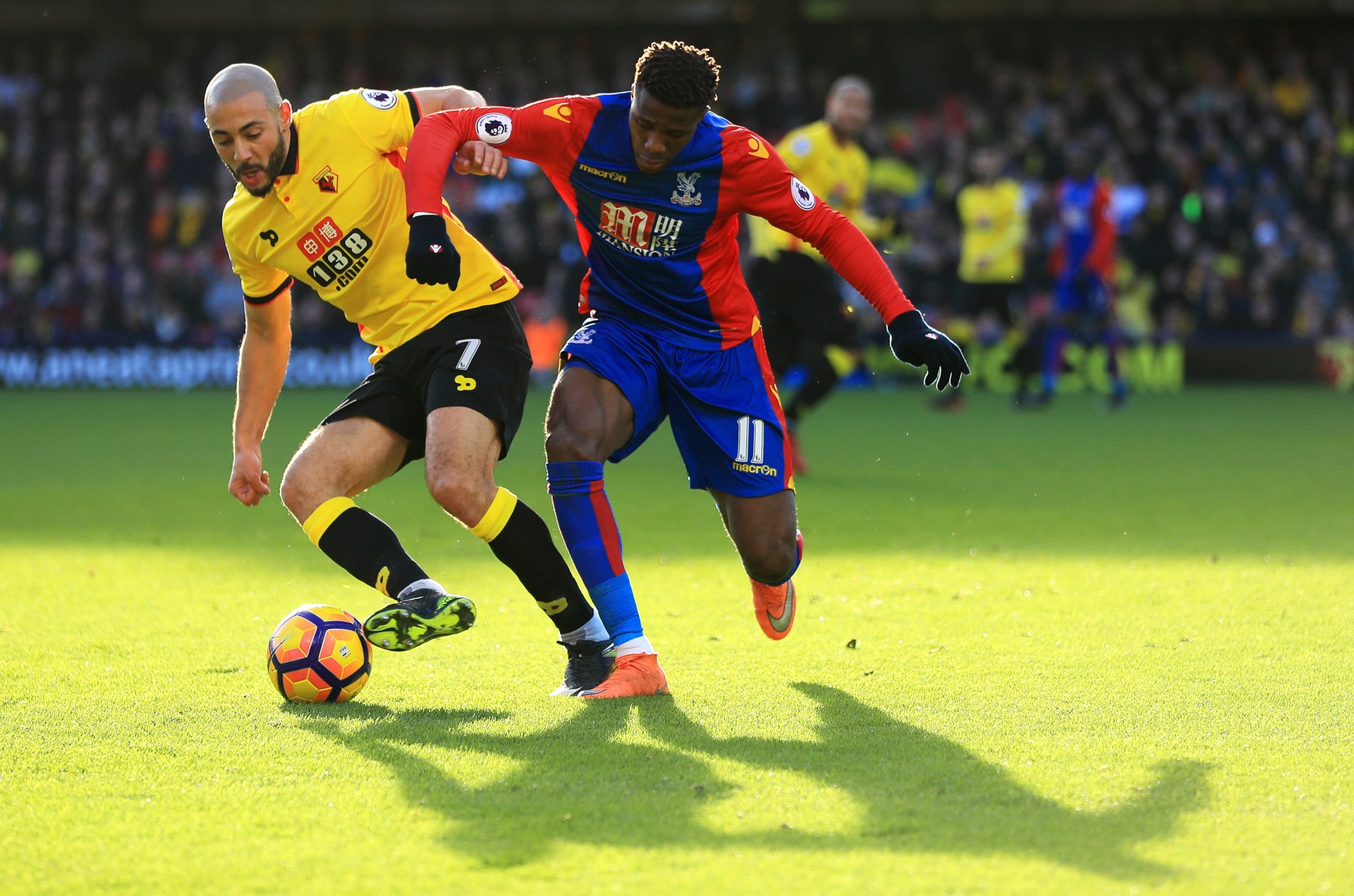 的青年化战 的青年化战